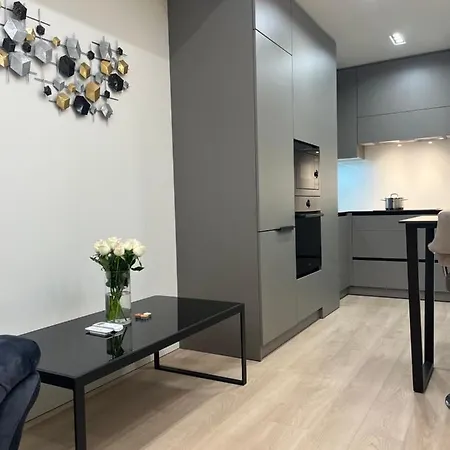 Oasis Luxury Apartment Chisinau